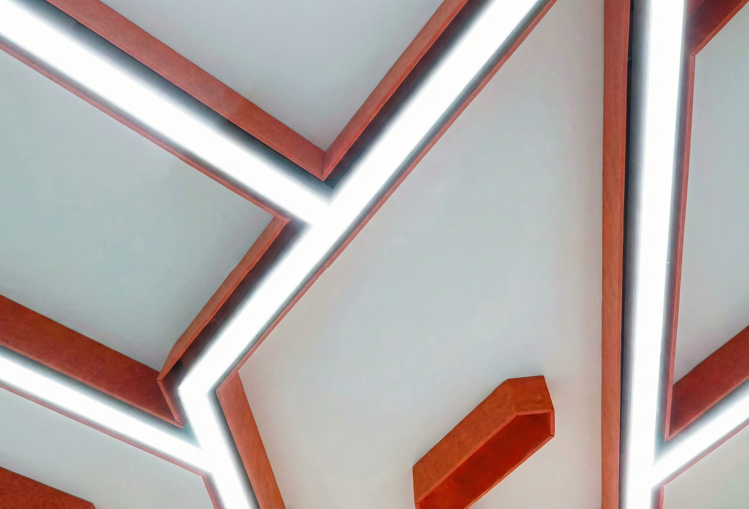 Войлочные панели в форме дерева в школьном интерьере