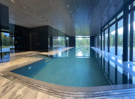 Потолок в частном доме с бассейном