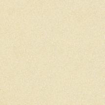 Линолеум ПВХ LG Hausys Bright BR92305-01