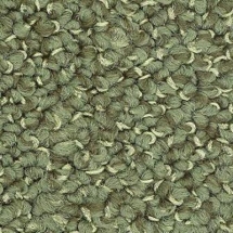 Ковровая плитка InterfaceFlor Heuga 568 5693 Apple