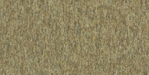 Ковровая плитка InterfaceFlor New Horizons II 5581 5527 Bezhevyy Wheat