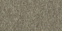 Ковровая плитка InterfaceFlor New Horizons II 5582 5528 Bezhevyy Oak