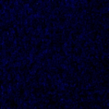 Ковровая плитка Desso Mila sw mila 8501