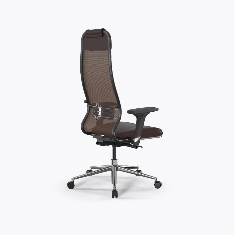 SynchroSit 10 B1-115D - X2+Extra /Um00/Wm12/D02P(M23.B23.G18.W02) (Темно-коричневый)