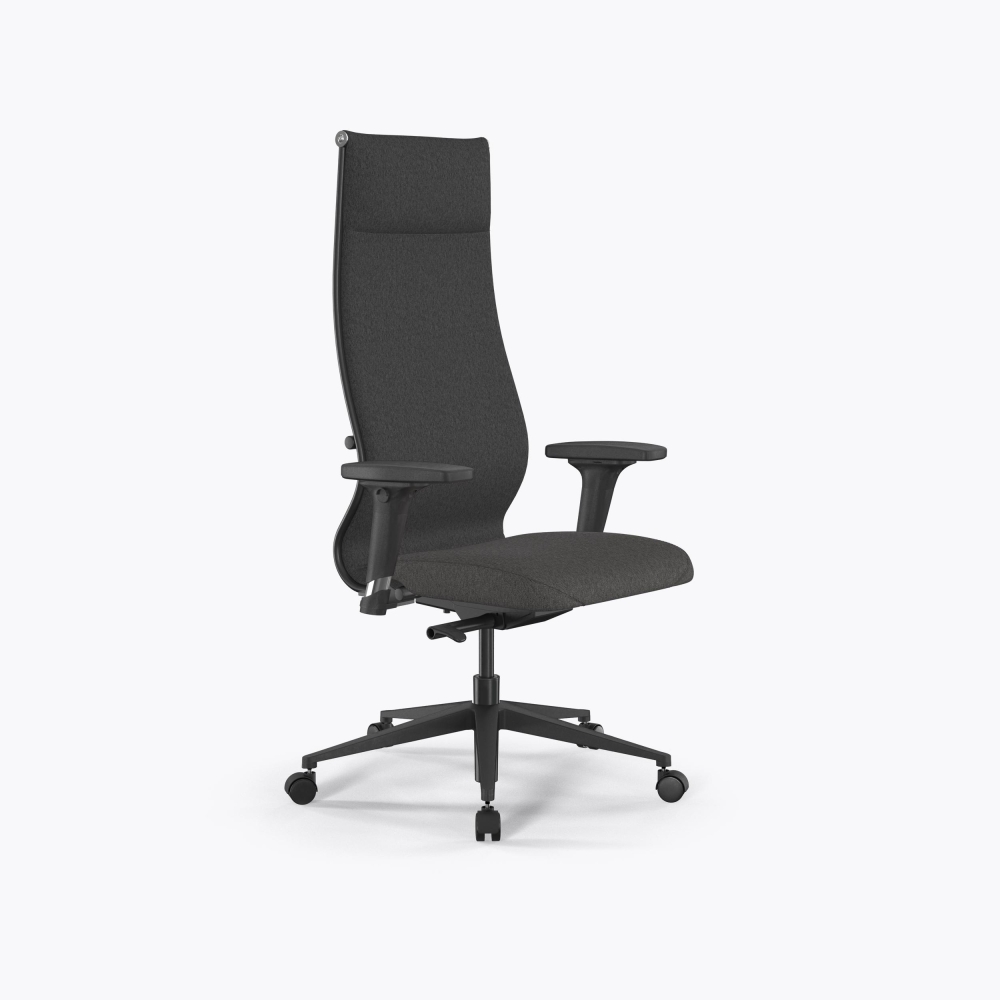 SynchroSit 10 B1-162D - Bahama /Kb15/Wh12/D02P(M23.B11.G19.W02) (Темно-серый)