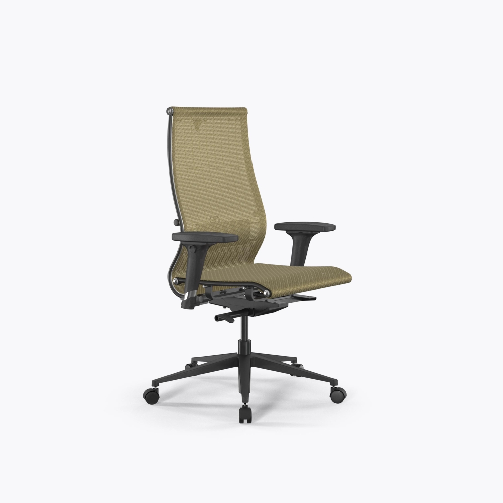 SynchroSit 10 B2-107D - T /Km00/Nb00/D02P(M23.B11.G19.W02) (Золотой ротанг)