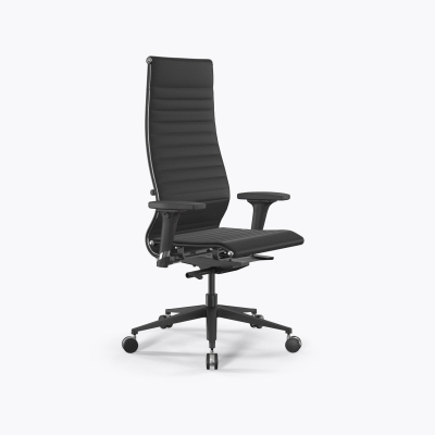 SynchroSit 10 B1-110D - Extra /Km02/Nb02/D02P(M23.B11.G19.W25) (Черный)