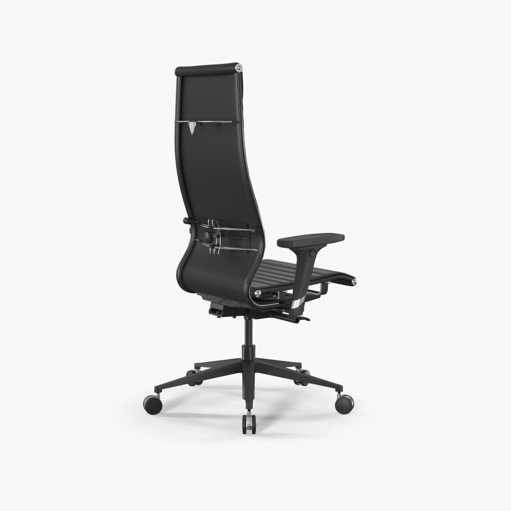 SynchroSit 10 B1-110D - Extra /Km02/Nb02/D02P(M23.B11.G19.W25) (Черный)