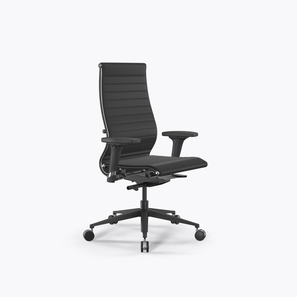 SynchroSit 10 B2-110D - Extra /Km02/Nb02/D02P(M23.B11.G19.W25) (Черный)