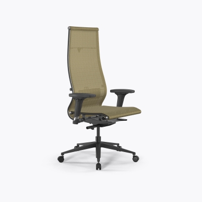 SynchroSit 10 B1-107D - T /Km00/Nb00/D02P(M23.B11.G19.W02) (Золотой ротанг)