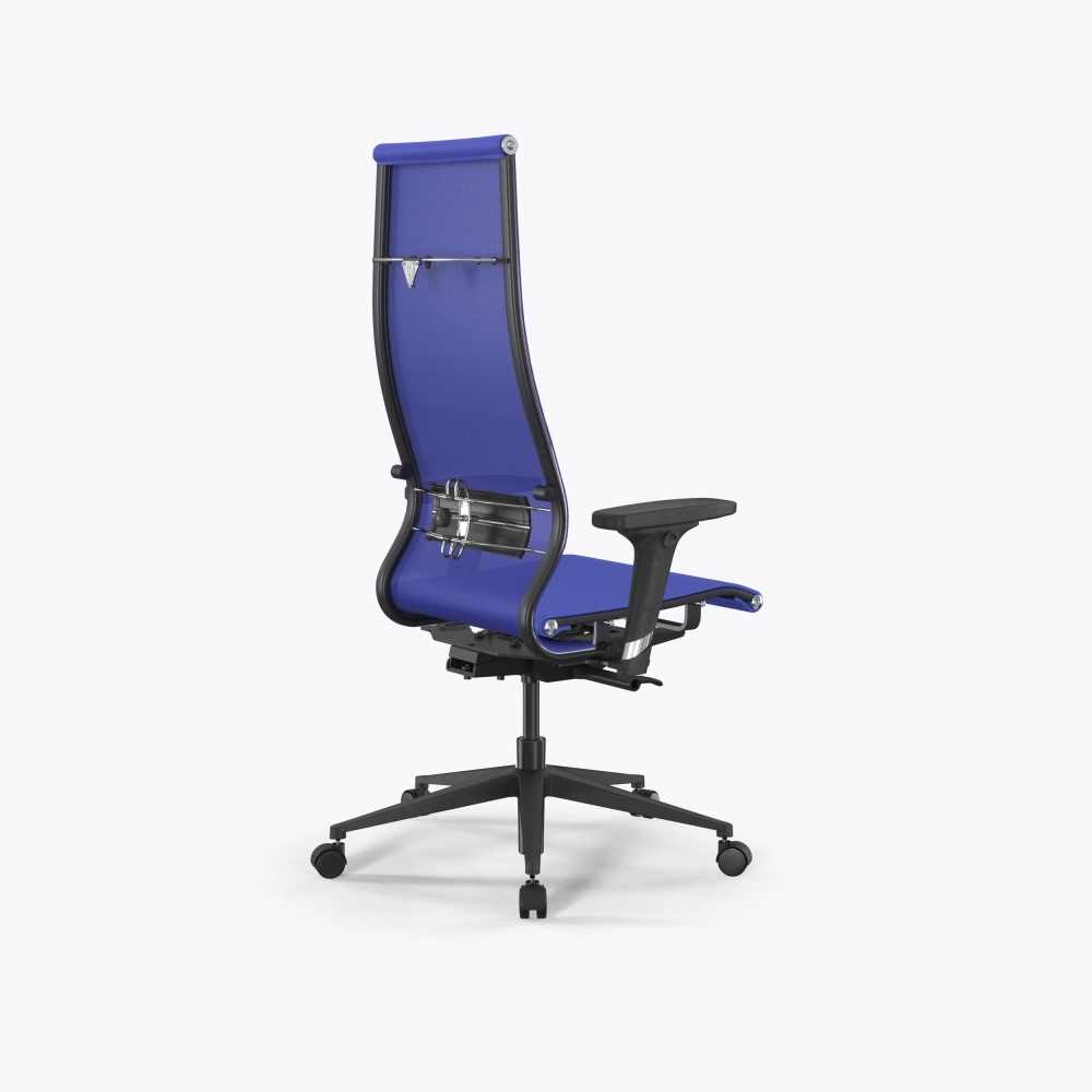 SynchroSit 10 B1-107D - T /Km00/Nb00/D02P(M23.B11.G19.W02) (Васильковый)