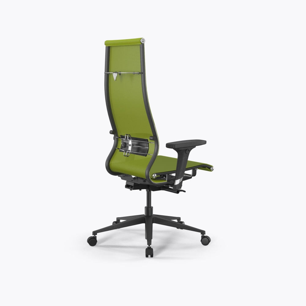 SynchroSit 10 B1-107D - T /Km00/Nb00/D02P(M23.B11.G19.W02) (Лайм)