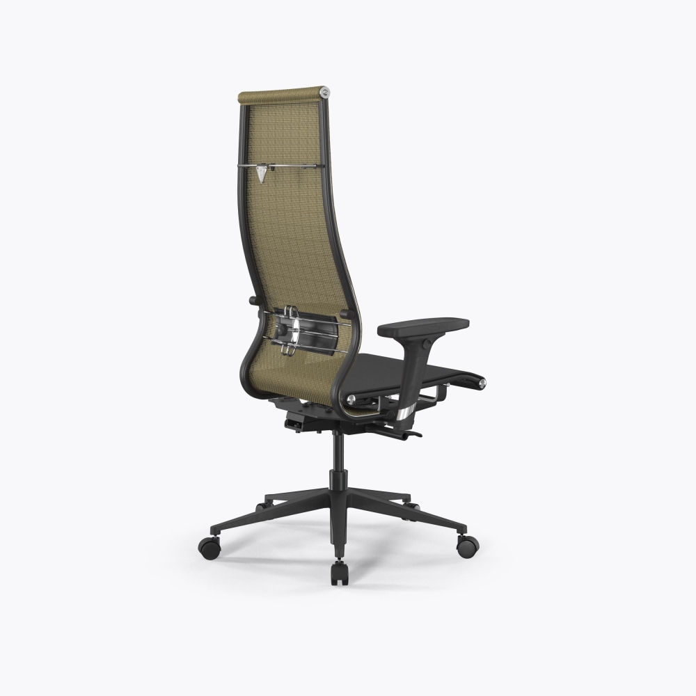 SynchroSit 10 B1-107D - T /Km00/Nb00/D02P(M23.B11.G19.W02) (Золотой ротанг-Черный)
