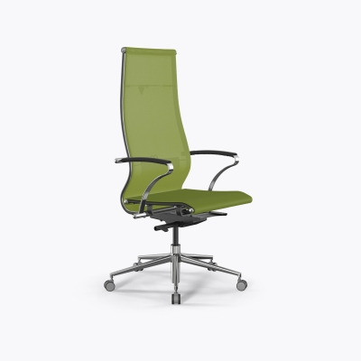 SynchroSit 10 B1-107K - T /Km00/Nb00/K15cL(M23.B23.G18.W13) (Лайм)