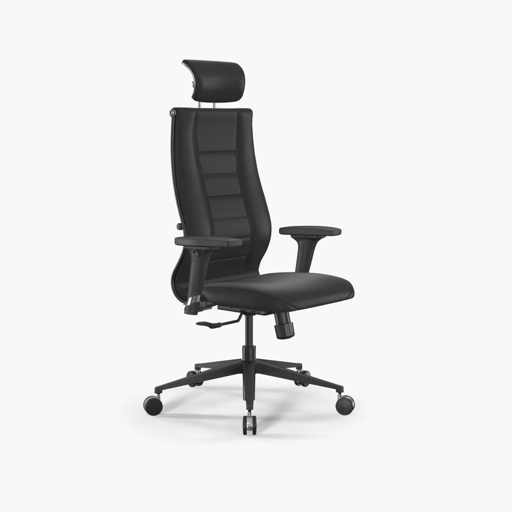 SynchroSit 10 B2-135D - Extra /Kb09/Wh12/D02P/H13mL-2D(M25.B11.G19.W25) (Черный)