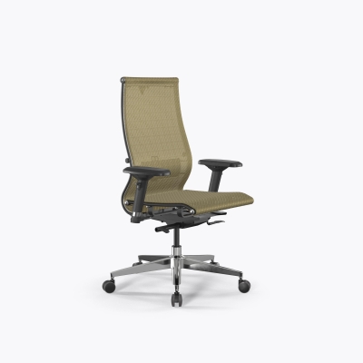 SynchroSit 10 B2-107D - T /Km00/Nb00/D04P(M24.B22.G18.W03) (Золотой ротанг)