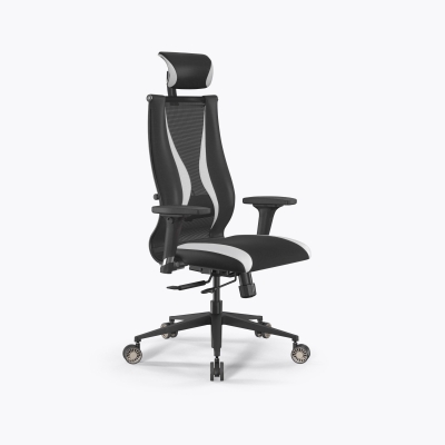 SynchroSit 10 B2-170D - T+UMF(SY271)+Extra /Kb38/Wh09/D02P/H13mL-Pf-1DF(M18.B11.G19.W31) (Черн-Белый)