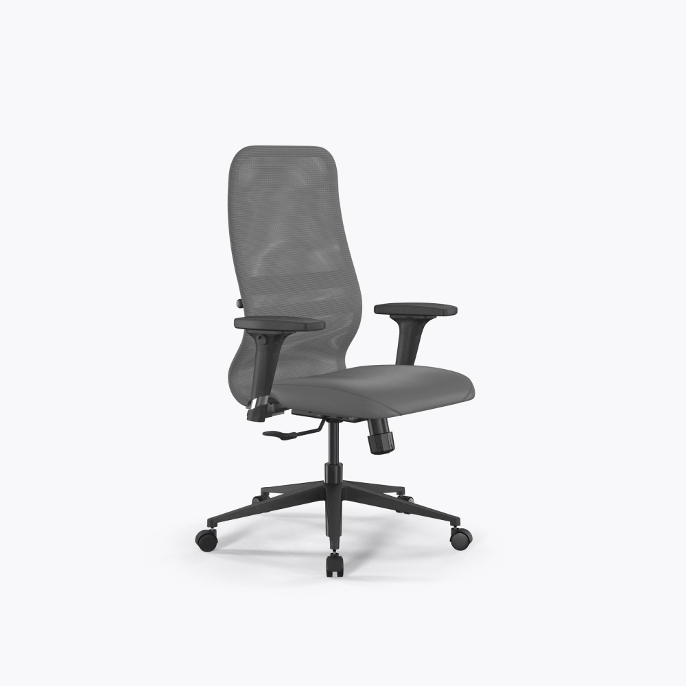SynchroSit 8 B2-9D - X2+Extra /Uh00/Wh12/D02P(M25.B11.G19.W02) (Серый)