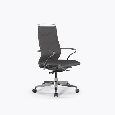 SynchroSit Well B2-195K - GoyaLE /Ach246/Nc200/K15cV(M24.B22.G18.W03) (Темно-серый)