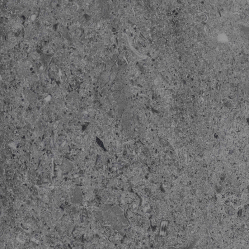 ПВХ плитка Vertigo Loose Lay 8509 Water Limestone Dark Grey 457.2х457.2х5,0/0,7 мм, упак.2,09 м2