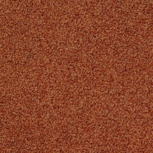 Ковровая плитка Desso Torso 5213