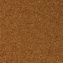 Ковровая плитка Desso Torso 5421