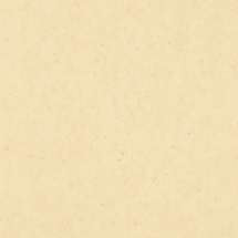 LG Hausys  Deco Tile DTS6081 Ceramic (бежевый)