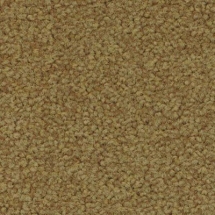 Ковровая плитка Forbo Tessera Acrobat 1321 skittle