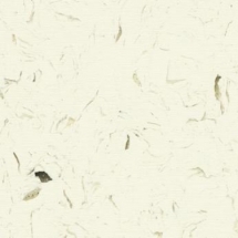 Forbo Allura Colour C68011 chalk 610x610 мм