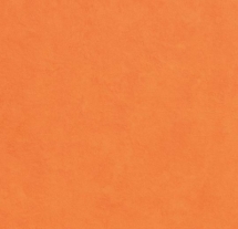 Forbo Allura Flex Abstract 1541 orange