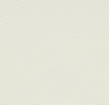 Forbo Allura LVT Abstract  a63710 snow scales