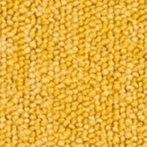 Ковровая плитка Balsan Season - Summer Winter 310