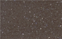 Линолеум Forbo Emerald Spectra 5528