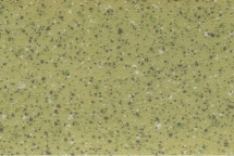 Линолеум Forbo Smaragd Classic 6183