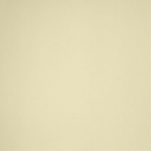 LaminamRUS COLLECTION Avorio Lucidato 3000x1000x5,6