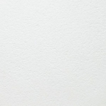 Потолочная плита Bioguard Plain Board 1200x600x15 (Armstrong)