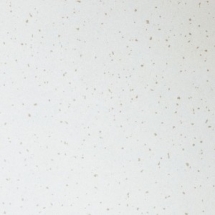 Потолочная плита Clean Room FL (ISO 5) Board 1200x600x15 (Armstrong)