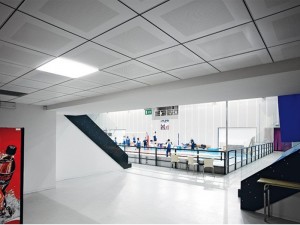 ORCAL Микроперфорация Rd 1522 с флисом 1200x300x8 Tegular 8 (Armstrong)