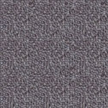 Ковровая плитка Tecsom 2050 g201