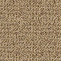 Ковровая плитка Tecsom 2050 j121