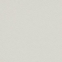 Линолеум Forbo Safestep Aqua 180012 misty