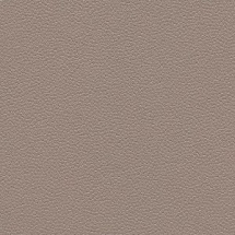 Линолеум Forbo Safestep Aqua 180232 taupe