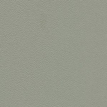 Линолеум Forbo Safestep Aqua 180322 jade