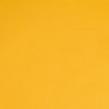 Линолеум спортивный Forbo Sportline Classic 01070 2x18 м