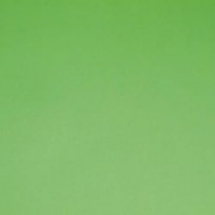 Линолеум спортивный Forbo Sportline Classic 03040 2x18 м