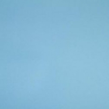 Линолеум спортивный Forbo Sportline Standart 02040 2x25 м