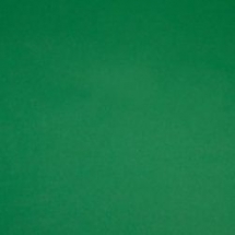 Линолеум спортивный Forbo Sportline Standart 05030 2x25 м