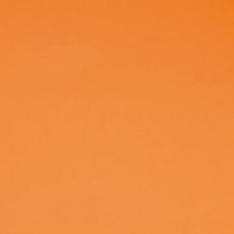 Линолеум спортивный Forbo Sportline Standart 00570 2x25 м