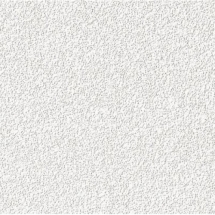 Потолочная панель AMF ФАИНСТРАТОС (Гигиена) перфориров. VT-15 (FEINSTRATOS (Hygiene) perforirov.) 600x600x 15