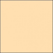 Закрывающий, пристенный П-профиль, к ППР-083, 0305 - персик (матовый)